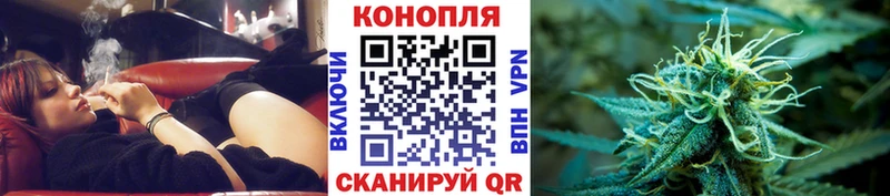 Бошки Шишки марихуана  где купить наркотик  Алагир 